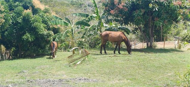 56 ROOSTER RUN GUEST HOUSE, Vieques, PR 00765