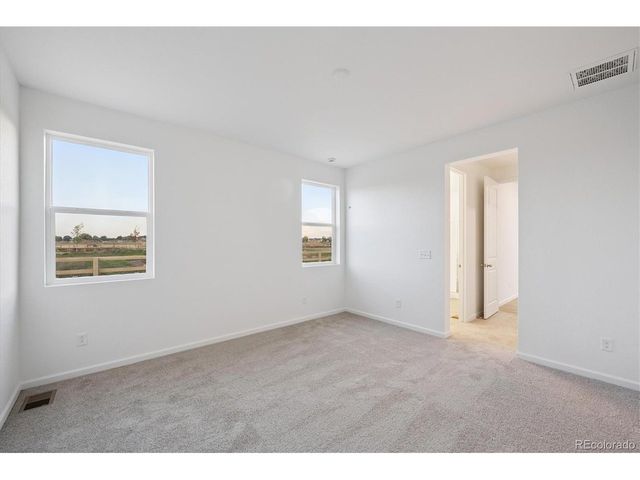 928 Steppe Ln, Windsor, CO 80550