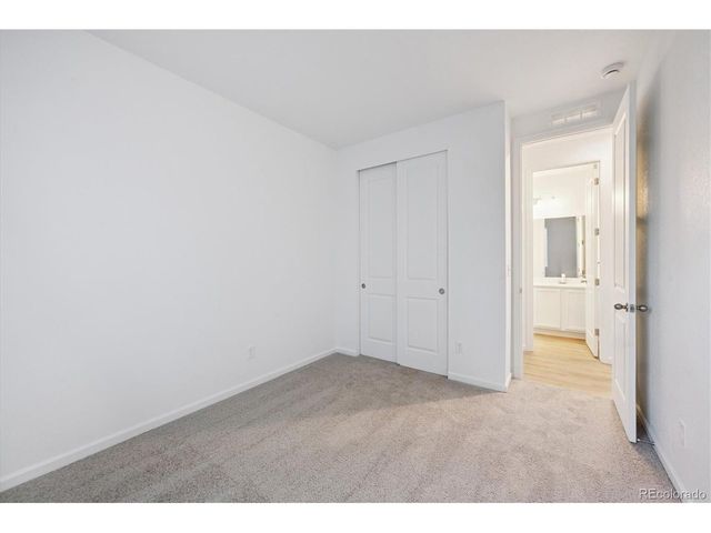 928 Steppe Ln, Windsor, CO 80550