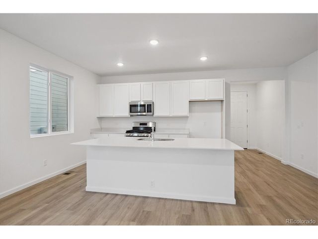 928 Steppe Ln, Windsor, CO 80550