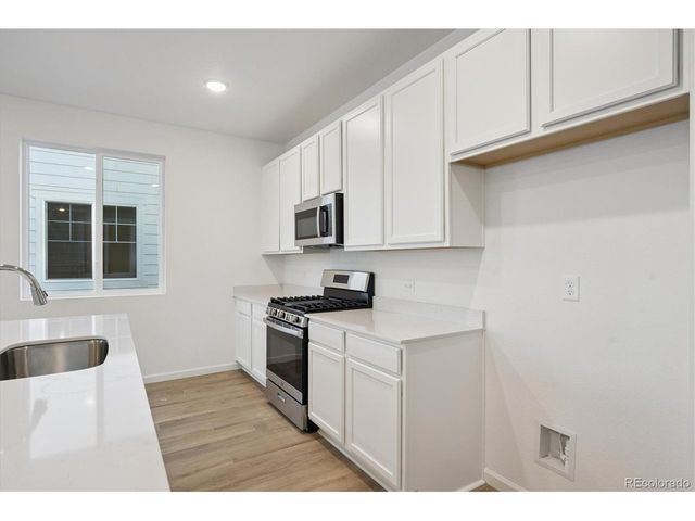 928 Steppe Ln, Windsor, CO 80550