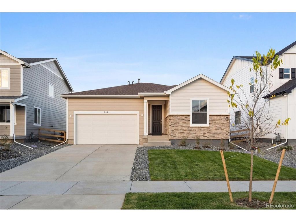 928 Steppe Ln, Windsor, CO 80550