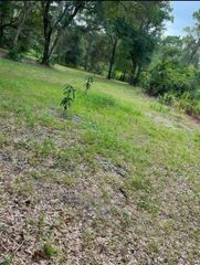 1301 ARAPAHO TRAIL, Geneva, FL 32732