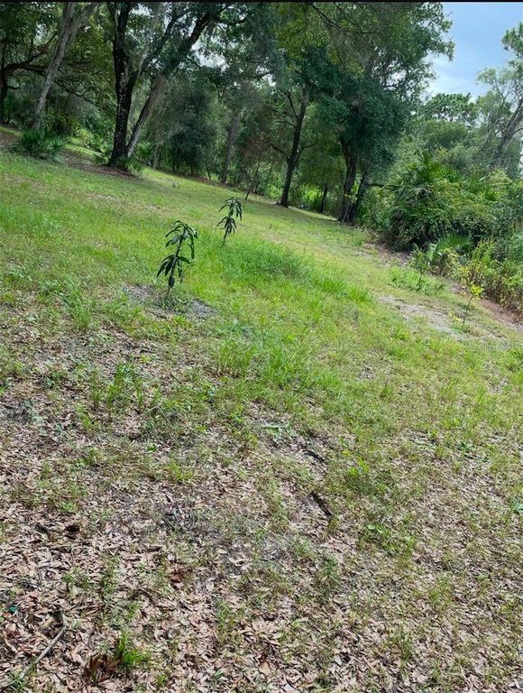 Image 1 of property listing at 1301 ARAPAHO TRAIL, Geneva, FL 32732