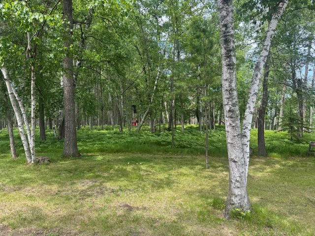 1707 Crosby Court SE 10, Bemidji, MN 56601