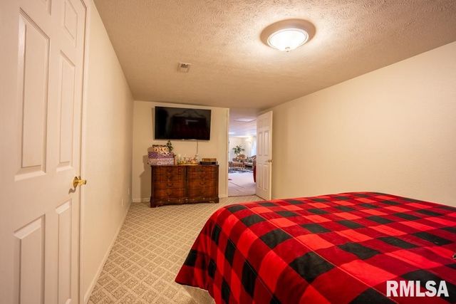 12451 Dahmer Way, Carterville, IL 62918