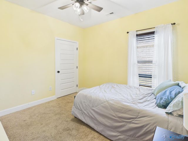 116 Princewater Drive, Madison, AL 35756