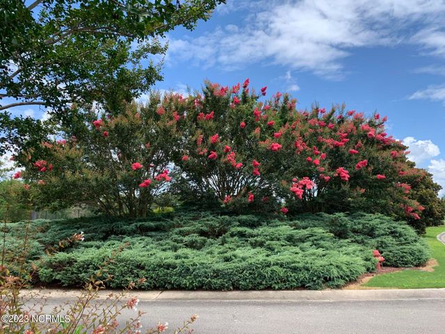 21 Meadow Lane, Arapahoe, NC 28510