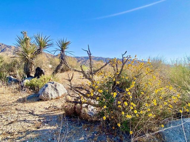 135 Bardell Road, Morongo Valley, CA 92256