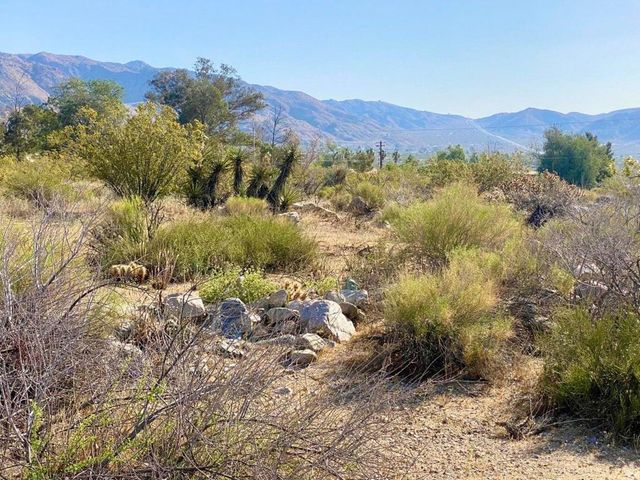 135 Bardell Road, Morongo Valley, CA 92256