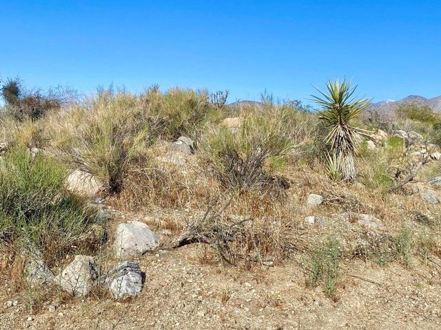 135 Bardell Road, Morongo Valley, CA 92256