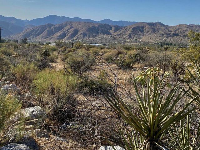 135 Bardell Road, Morongo Valley, CA 92256