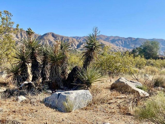 135 Bardell Road, Morongo Valley, CA 92256