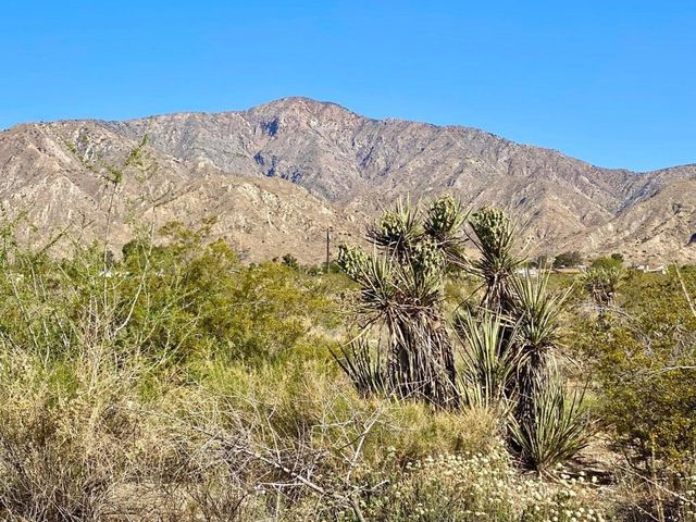 135 Bardell Road, Morongo Valley, CA 92256