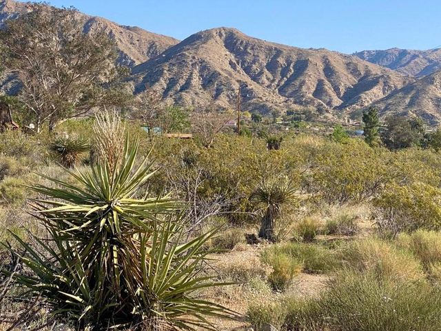 135 Bardell Road, Morongo Valley, CA 92256