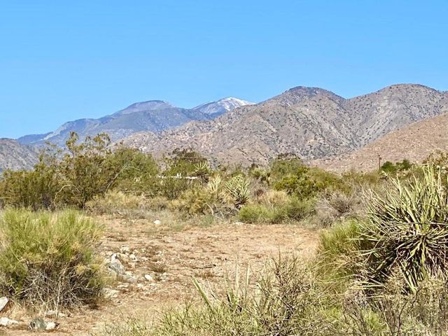135 Bardell Road, Morongo Valley, CA 92256