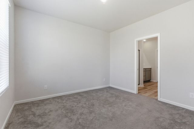 564 Trinity Way, Spring Hill, TN 37174