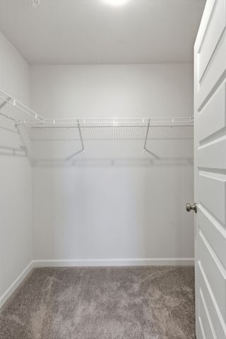 564 Trinity Way, Spring Hill, TN 37174