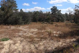 9097 N PEEWEE POINT, Dunnellon, FL 34433