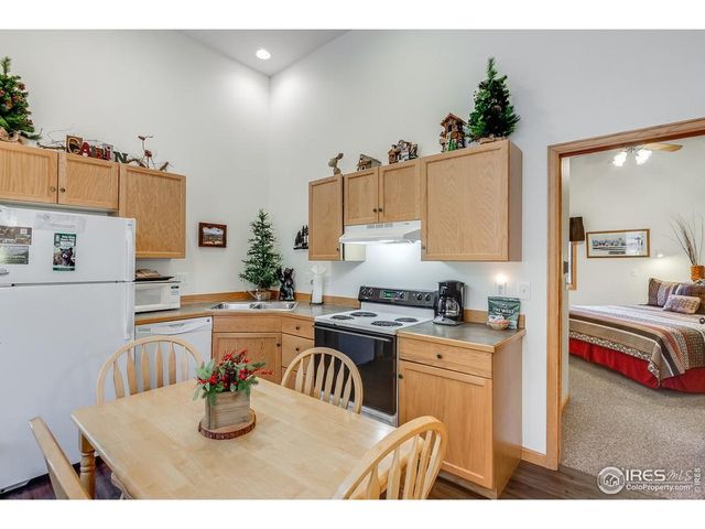 2120 Fall River Rd D-2, Estes Park, CO 80517