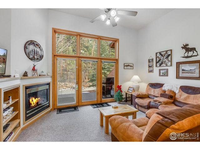 2120 Fall River Rd D-2, Estes Park, CO 80517