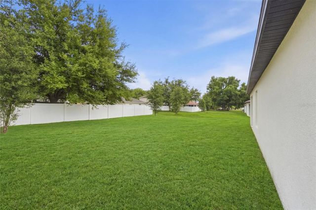1668 GOPHER TREE STREET, Mascotte, FL 34753