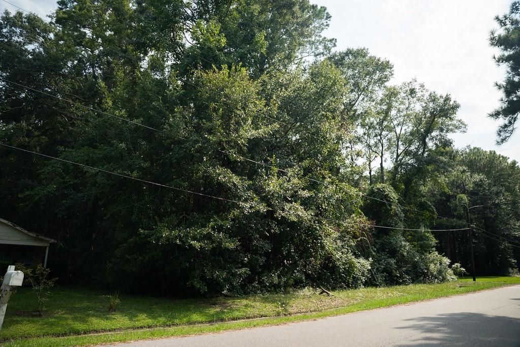 1121 North Drive, Mobile, AL 36605 — photo 2