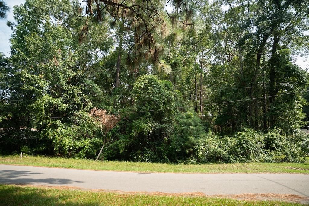 1121 North Drive, Mobile, AL 36605 — photo 3