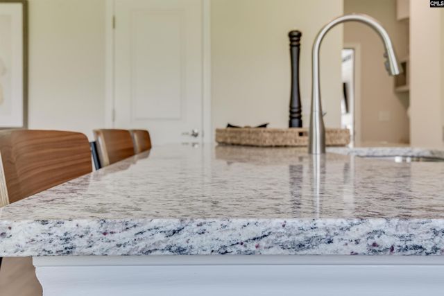 151 Bloomsbury Drive, Lexington, SC 29073