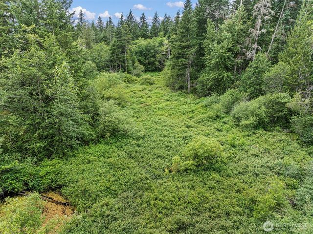 101 NE Smithy Forge Lane, Belfair, WA 98528