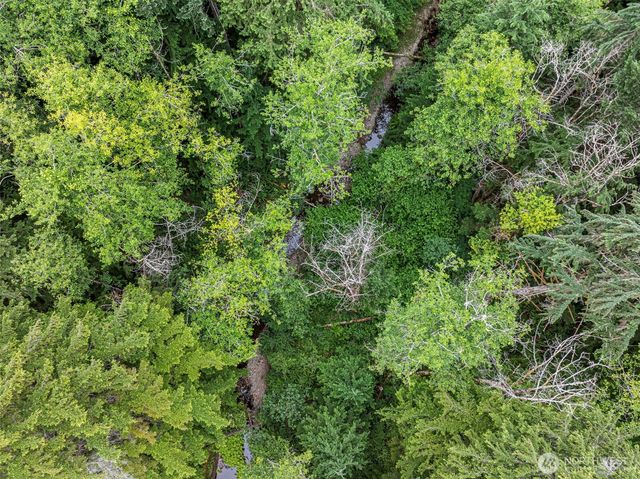 101 NE Smithy Forge Lane, Belfair, WA 98528