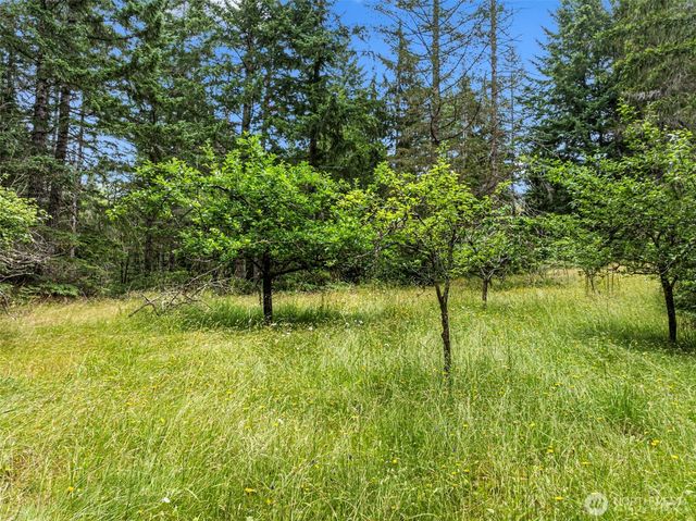 101 NE Smithy Forge Lane, Belfair, WA 98528
