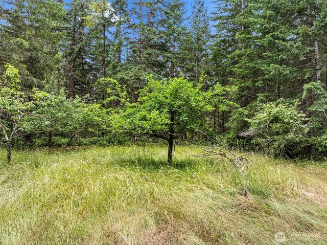 101 NE Smithy Forge Lane, Belfair, WA 98528