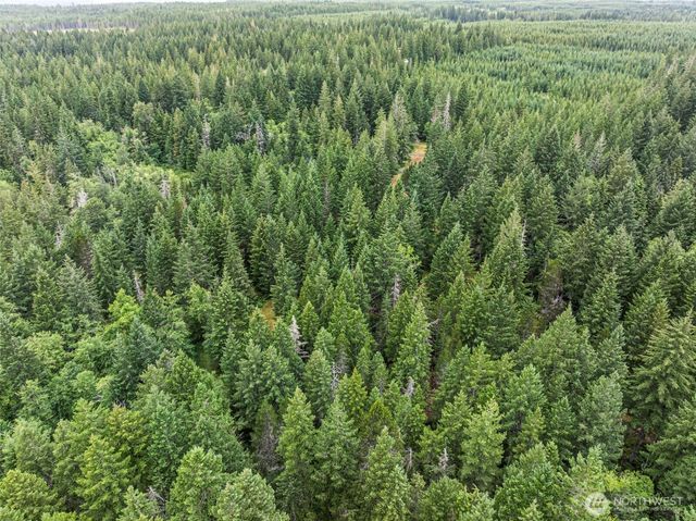 101 NE Smithy Forge Lane, Belfair, WA 98528