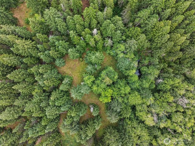 101 NE Smithy Forge Lane, Belfair, WA 98528