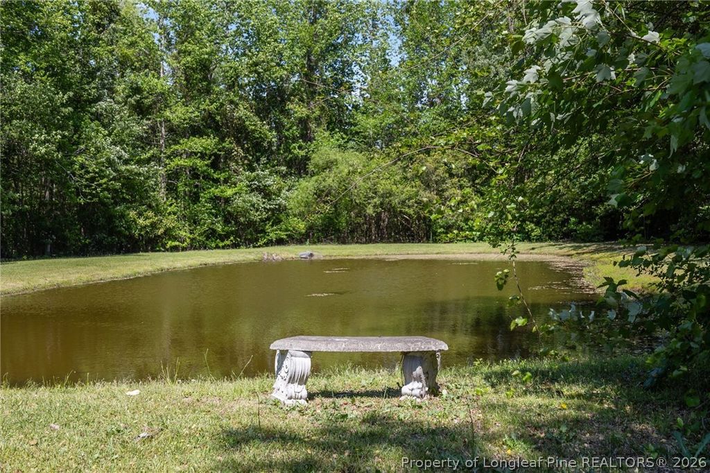 1096 Dean Road, St Pauls, NC 28384 — photo 5