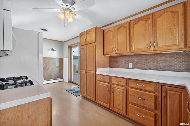 525 GREEN Court, Colona, IL 61241