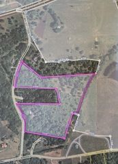 7340 Southern Rd, Fairview, TN 37062