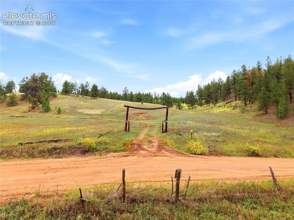 8567 County Road 3, Divide, CO 80814 — photo 2