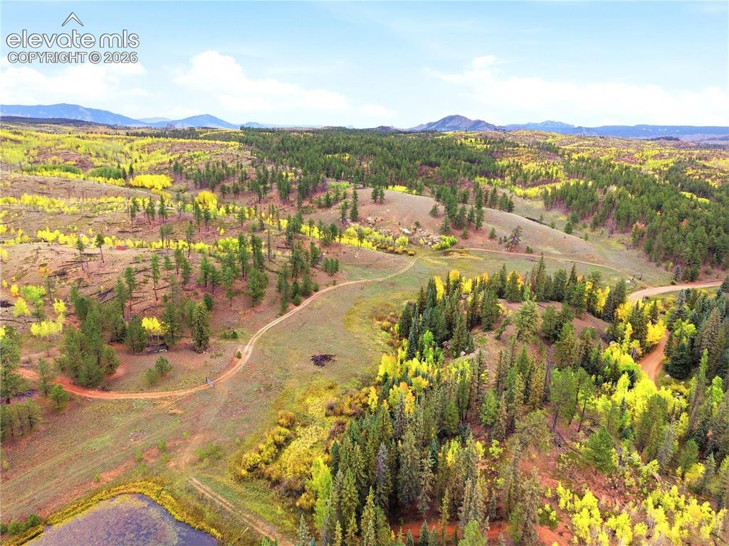 8567 County Road 3, Divide, CO 80814 — photo 3