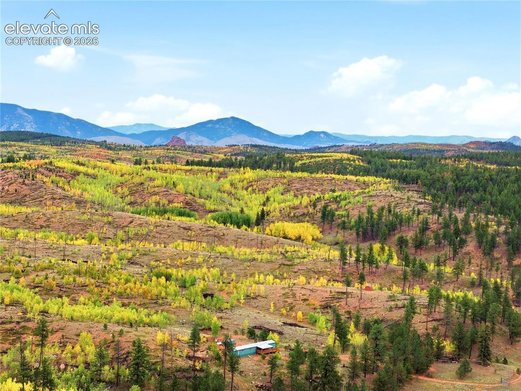 8567 County Road 3, Divide, CO 80814 — photo 4