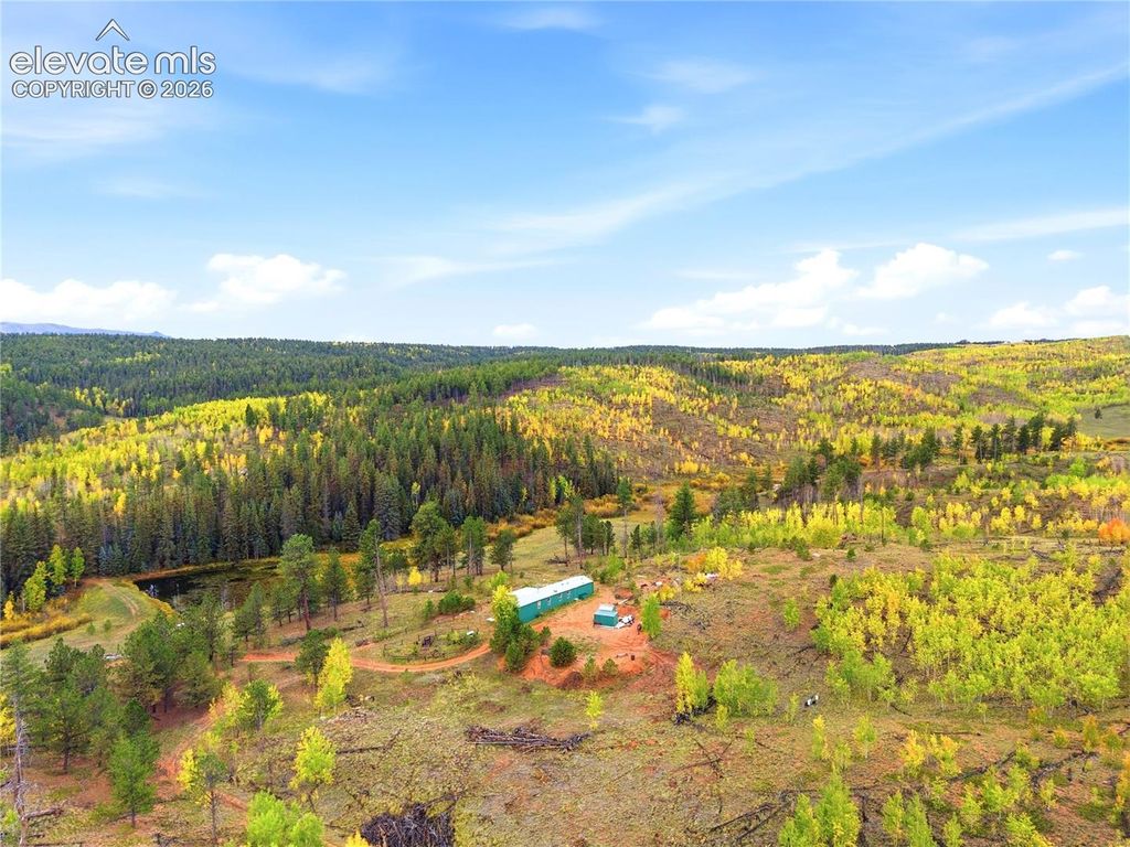 8567 County Road 3, Divide, CO 80814 — photo 5