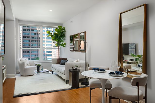 850 N Lake Shore Drive 607, Chicago, IL 60611