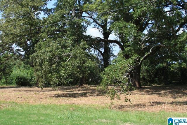 5714 SMOKEY ROAD, Calera, AL 35040