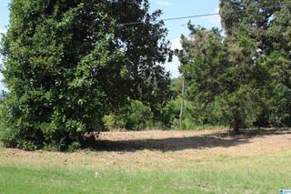 5714 SMOKEY ROAD, Calera, AL 35040