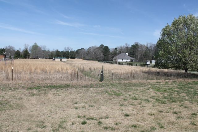 12613 Germania, Alexander, AR 72002