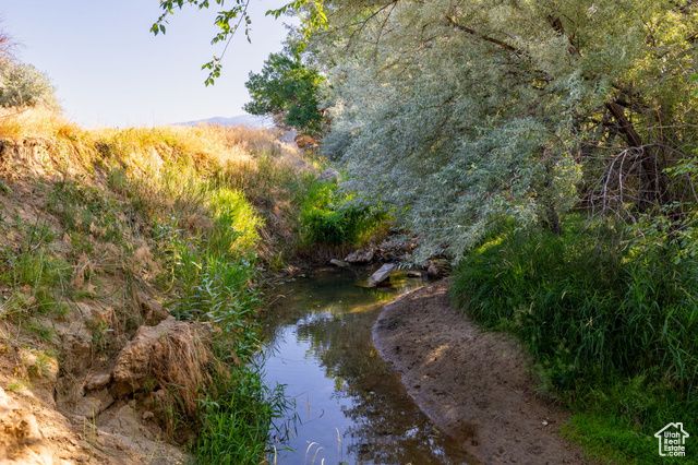 19025 N 8750 E, Mt Pleasant, UT 84647