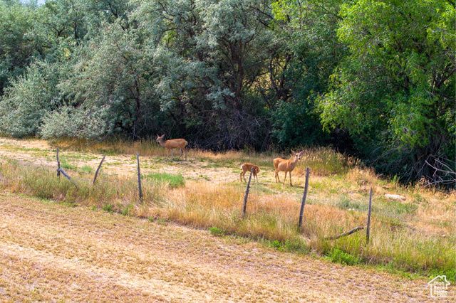 19025 N 8750 E, Mt Pleasant, UT 84647