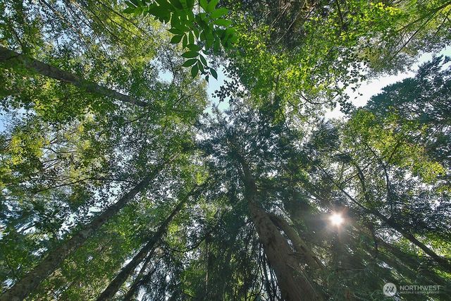 0 Lot 7 Thompson Road, Langley, WA 98260