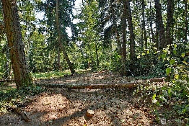 0 Lot 7 Thompson Road, Langley, WA 98260